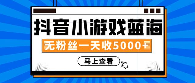 赚钱计划：抖音小游戏蓝海项目，无粉丝一天收入5000+-第一资源库