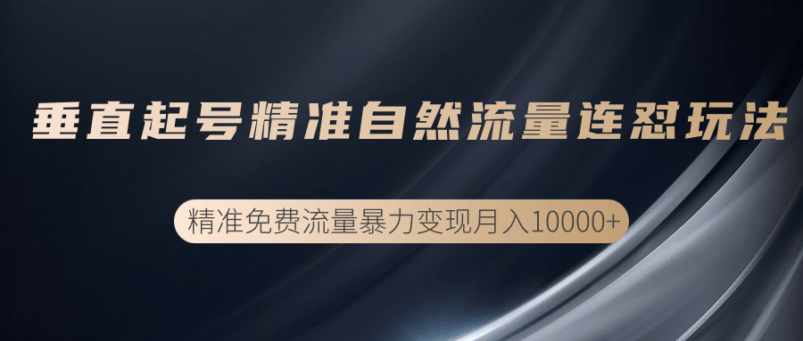 垂直起号精准自然流量连爆玩法，精准引流暴力变现月入10000+-第一资源库