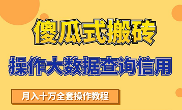 搬砖操作大数据查询信用项目赚钱教程，祝你快速月入6万-第一资源库