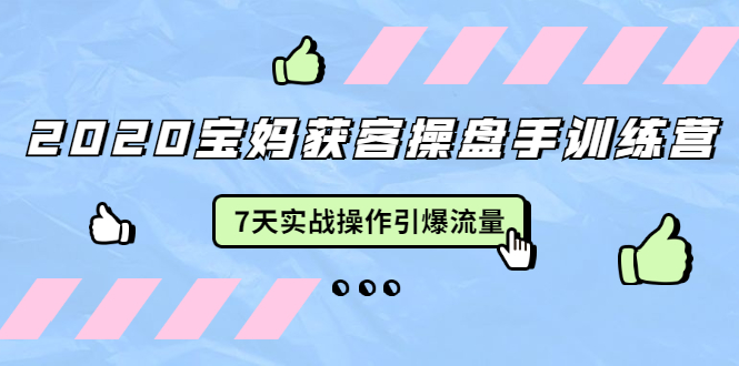 2020宝妈获客操盘手训练营：7天实战操作引爆 母婴、都市、购物宝妈流量-第一资源库