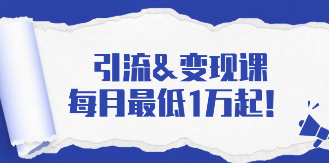 引流&变现课：分享一整套流量方法以及各个渠道收入，每月最低1万起！-第一资源库