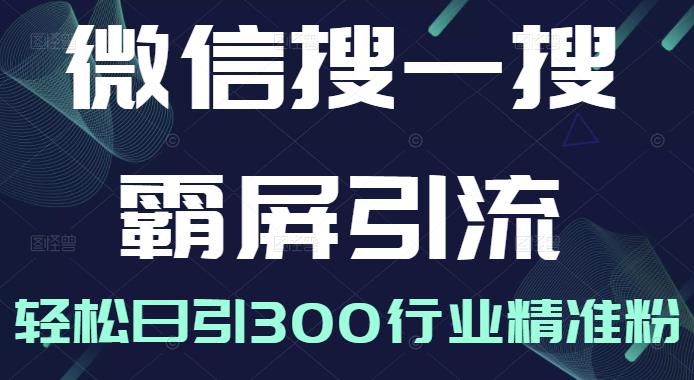 微信搜一搜霸屏引流课，打造被动精准引流系统，轻松日引300行业精准粉-第一资源库