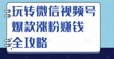 玩转微信视频号爆款涨粉赚钱全攻略，让你快速抓住流量风口，收获红利财富-第一资源库