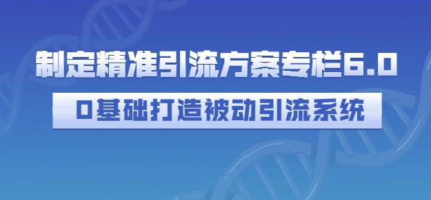 制定精准引流方案专栏6.0，0基础打造被动引流系统-第一资源库