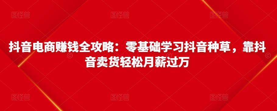 抖音电商赚钱全攻略：零基础学习抖音种草，靠抖音卖货轻松月薪过万-第一资源库