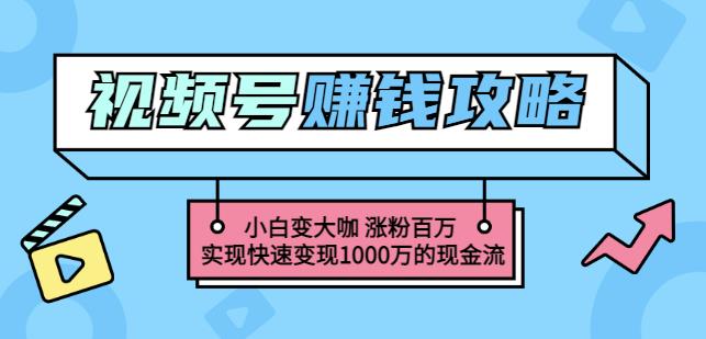 玩转微信视频号赚钱：小白变大咖涨粉百万实现快速变现1000万的现金流-第一资源库