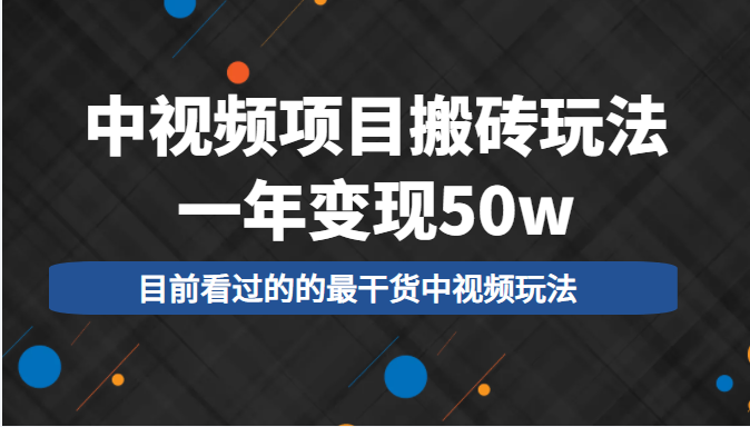 中视频项目搬砖玩法，一年变现50w，目前看过的的最干货中视频玩法-第一资源库