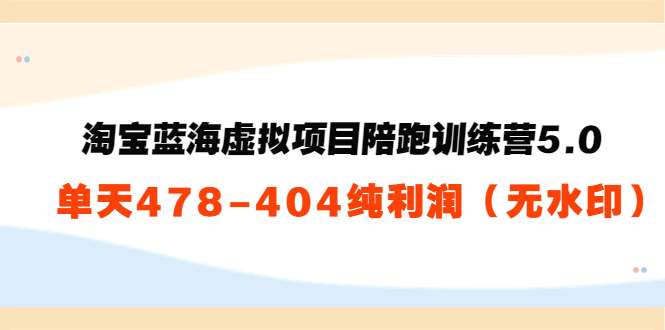 淘宝蓝海虚拟项目陪跑训练营5.0：单天478纯利润-第一资源库