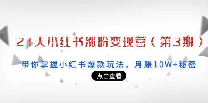 21天小红书涨粉变现营（第3期）：带你掌握小红书爆款玩法，月赚10W+秘密-第一资源库