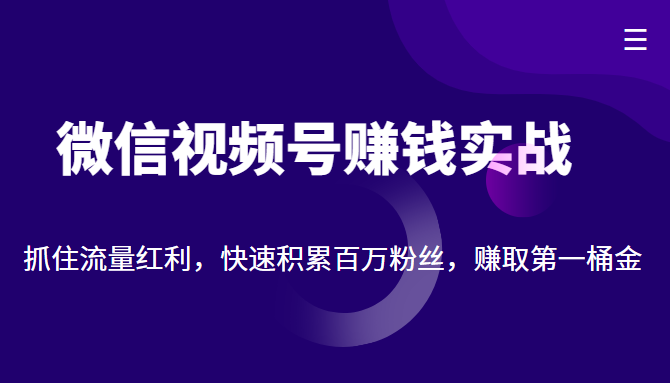 微信视频号赚钱实战：抓住流量红利，快速积累百万粉丝，赚取你的第一桶金-第一资源库