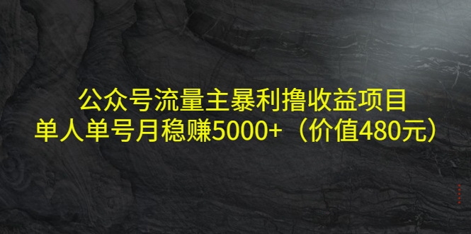 公众号流量主暴利撸收益项目，单人单号月稳赚5000+（价值480元）-第一资源库