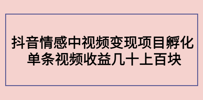 副业孵化营第5期：抖音情感中视频变现项目孵化 单条视频收益几十上百-第一资源库