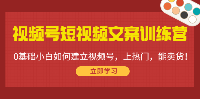 视频号短视频文案训练营：0基础小白如何建立视频号，上热门，能卖货！-第一资源库