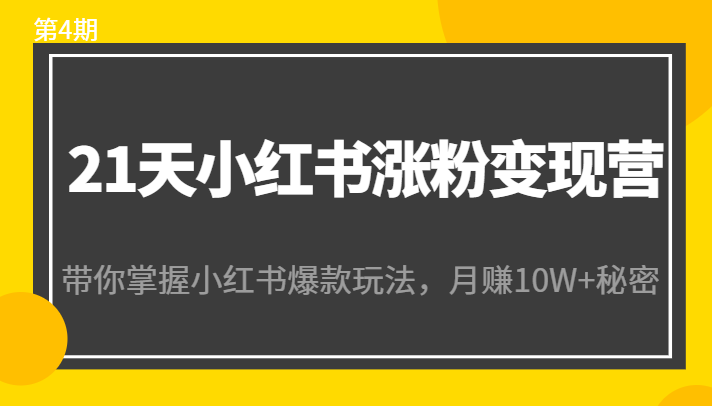 21天小红书涨粉变现营（第4期）：带你掌握小红书爆款玩法，月赚10W+秘密-第一资源库