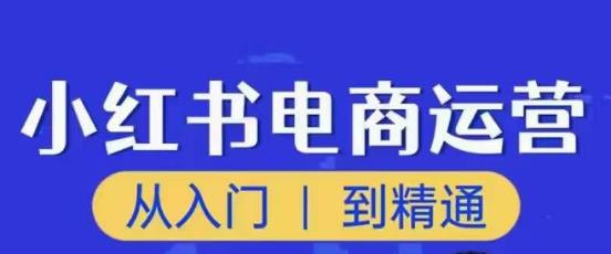 顽石小红书电商高阶运营课程，从入门到精通，玩法流程持续更新-第一资源库