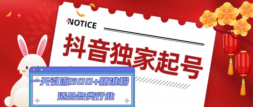 抖音独家起号，一天引流500+精准粉，适合各类行业（9节视频课）-第一资源库