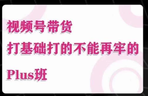 大播汇·视频号带货Puls班，视频号底层逻辑，起号自然流鱼塘等玩法-第一资源库