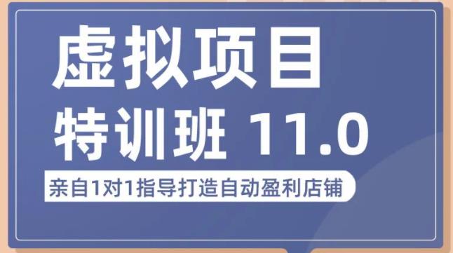 陆明明·虚拟项目特训班（10.0+11.0），0成本获取虚拟素材，0基础打造自动盈利店铺-第一资源库