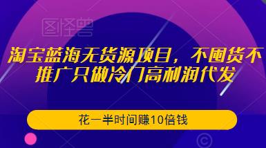 淘宝蓝海无货源项目，不囤货不推广只做冷门高利润代发，花一半时间赚10倍钱-第一资源库