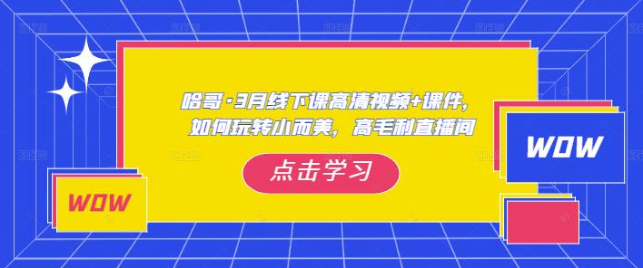 哈哥·3月线下实操课高清视频+课件，如何玩转小而美，高毛利直播间-第一资源库