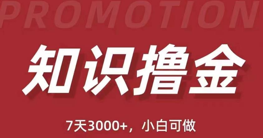 抖音知识撸金项目：简单粗暴日入1000+执行力强当天见收益(教程+资料)-第一资源库