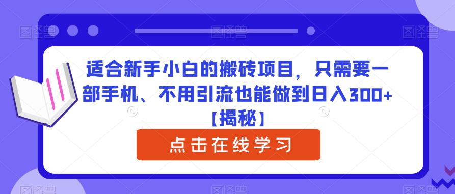 适合新手小白的搬砖项目，只需要一部手机、不用引流也能做到日入300+【揭秘】-第一资源库