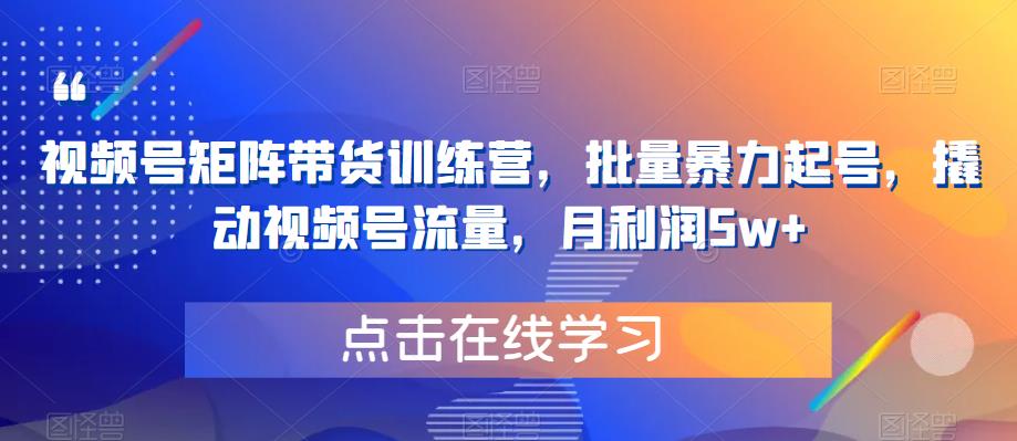 视频号矩阵带货训练营，批量暴力起号，撬动视频号流量，月利润5w+-第一资源库