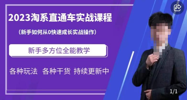 2023淘系直通车保姆式运营讲解，新手如何从0快速成长实战操作，新手多方位全能教学-第一资源库