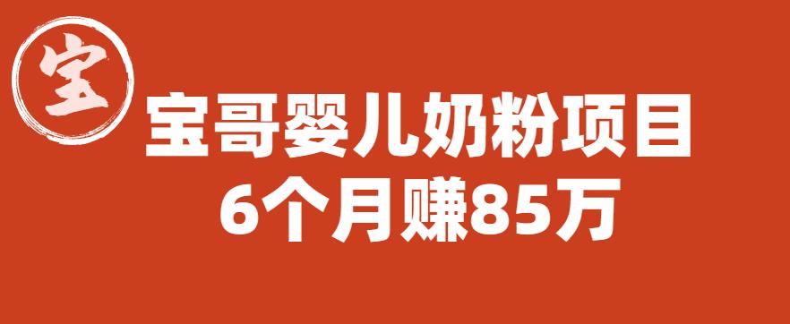 宝哥婴儿奶粉项目，6个月赚85w【图文非视频】【揭秘】-第一资源库