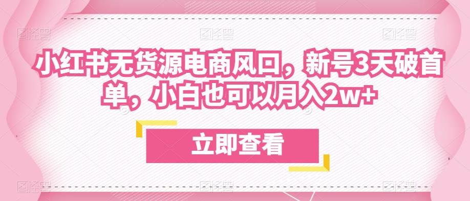 众狼电商余文小红书无货源电商风口，新号3天破首单，小白也可以月入2w+-第一资源库