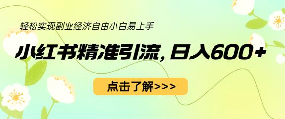 小红书精准引流，小白日入600+，轻松实现副业经济自由（教程+1153G资源）-第一资源库