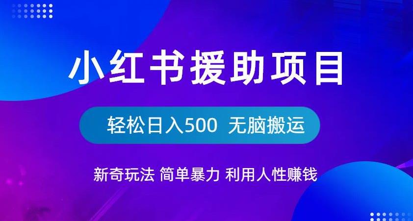 小红书援助项目新奇玩法，简单暴力，无脑搬运轻松日入500【揭秘】-第一资源库