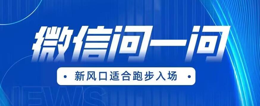 全网首发微信问一问新风口变现项目（价值1999元）【揭秘】-第一资源库