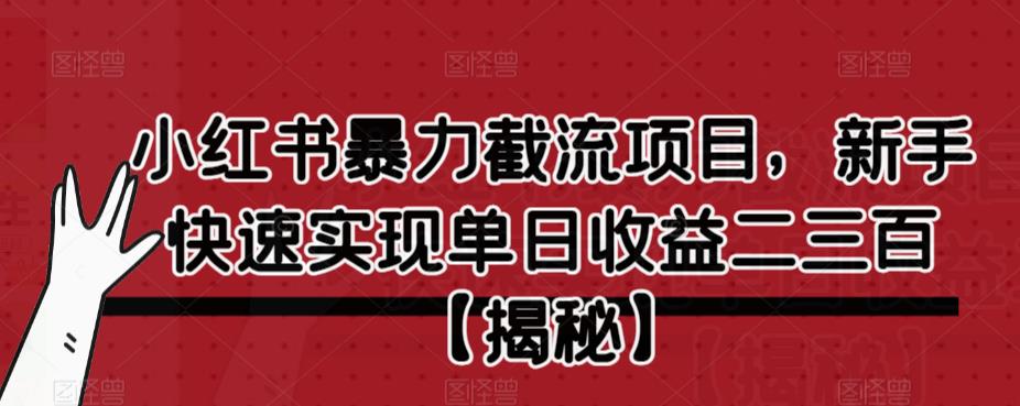 小红书暴力截流项目，新手快速实现单日收益二三百【仅揭秘】-第一资源库