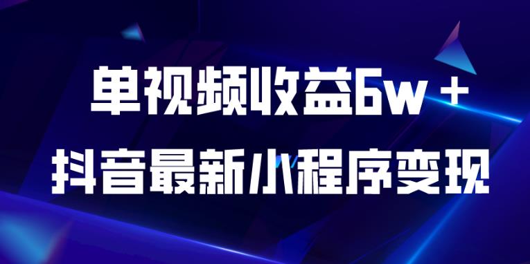 抖音最新小程序变现项目，单视频收益6w＋，小白可做【揭秘】-第一资源库