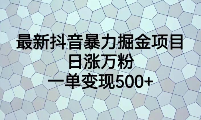 最新抖音暴力掘金项目，日涨万粉，一单变现500+【揭秘】-第一资源库