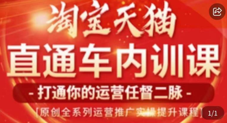 天问电商·2023淘宝天猫直通车内训课，零基础学起直通车运营实操课程-第一资源库