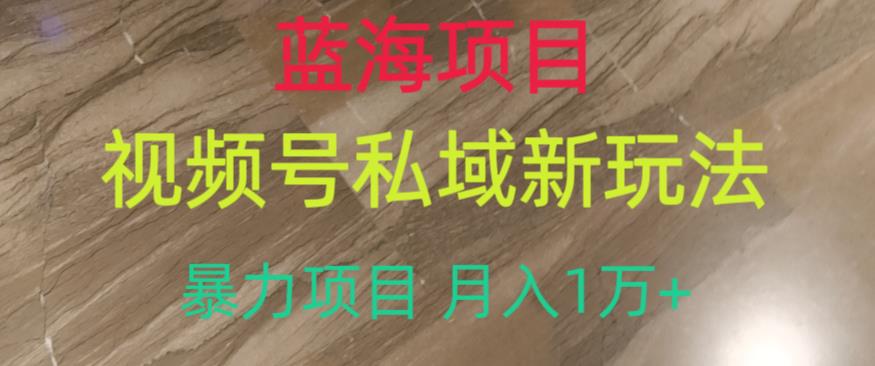 蓝海项目，视频号私域新玩法，暴力项目月入1万+【揭秘】-第一资源库