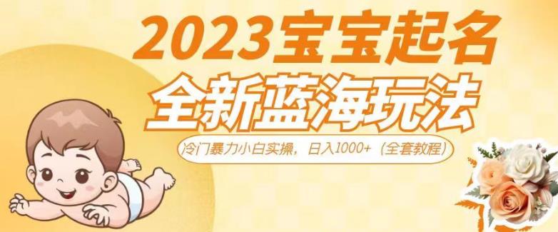 2023宝宝起名全新蓝海玩法，冷门暴力小白实操，日入1000+（全套教程）【揭秘】-第一资源库