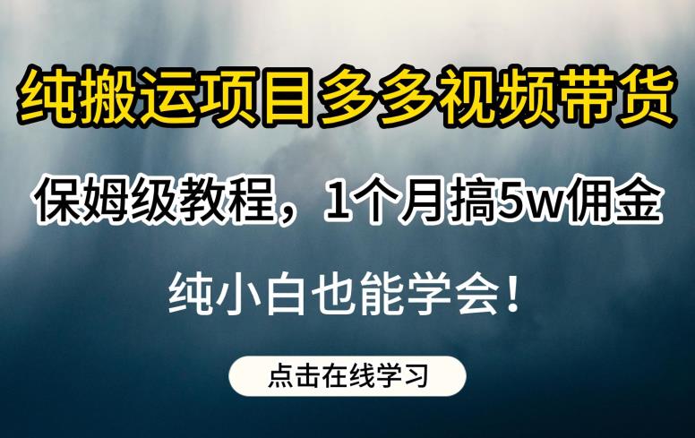 纯搬运项目多多视频带货保姆级教程，1个月搞5w佣金，纯小白也能学会【揭秘】-第一资源库