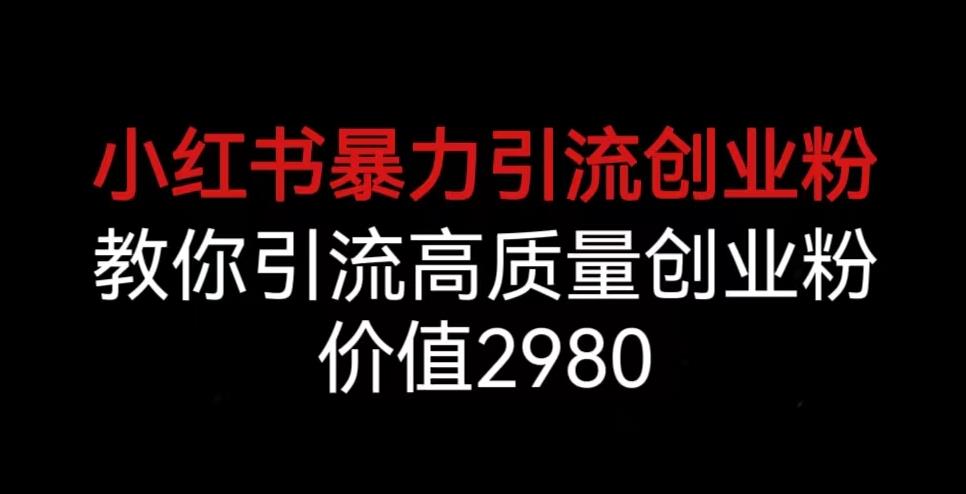 小红书暴力引流创业粉，教你引流高质量创业粉，价值2980【揭秘】-第一资源库