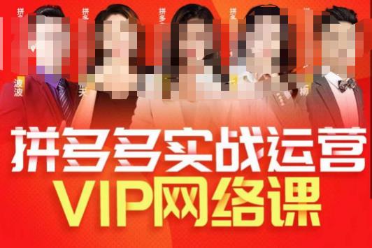 推易拼多多VIP全套直播课程，拼多多店铺实操玩法+实战玩法选款内功+直通车高阶等-第一资源库