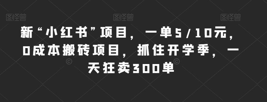 新“小红书”项目，一单5/10元，0成本搬砖项目，抓住开学季，一天狂卖300单【揭秘】-第一资源库