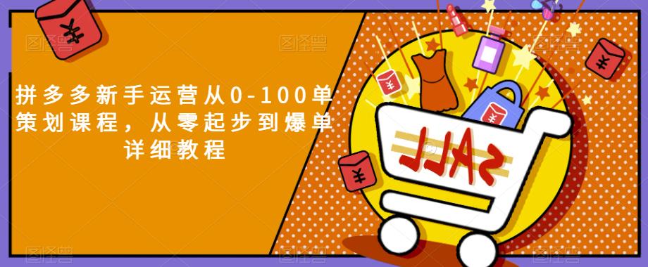 拼多多新手运营从0-100单策划课程，从零起步到爆单详细教程-第一资源库