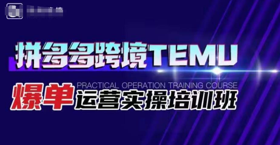 拼多多跨境TEMU爆单运营实操培训班，海外拼多多的选品、运营、爆单-第一资源库