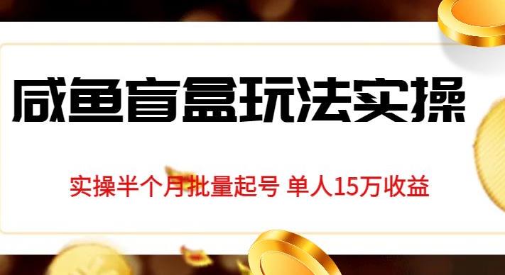 独家首发咸鱼盲盒玩法实操，半个月批量起号单人15万收益【揭秘】-第一资源库