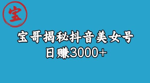 宝哥揭秘抖音美女号玩法，日赚3000+【揭秘】-第一资源库