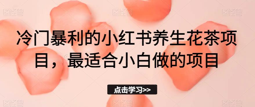 冷门暴利的小红书养生花茶项目，最适合小白做的项目【揭秘】-第一资源库