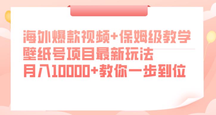 海外爆款视频+保姆级教学，壁纸号项目最新玩法，月入10000+教你一步到位【揭秘】-第一资源库