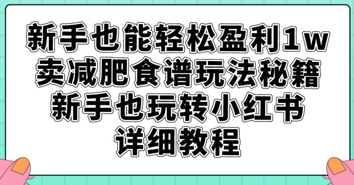 新手也能轻松盈利1w，卖减肥食谱玩法秘籍，新手也玩转小红书详细教程【揭秘】-第一资源库